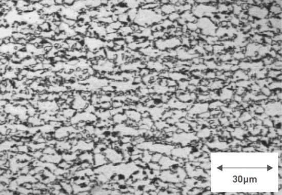 Service Properties of Dual Phase Steel